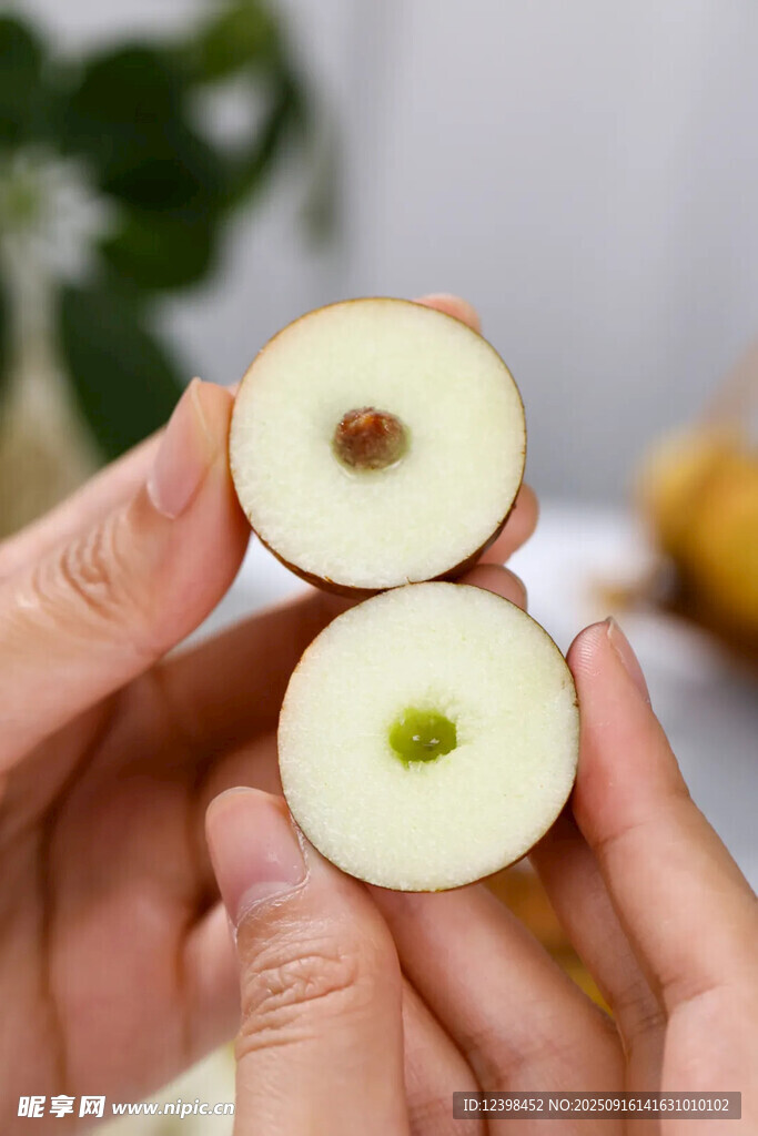大枣
