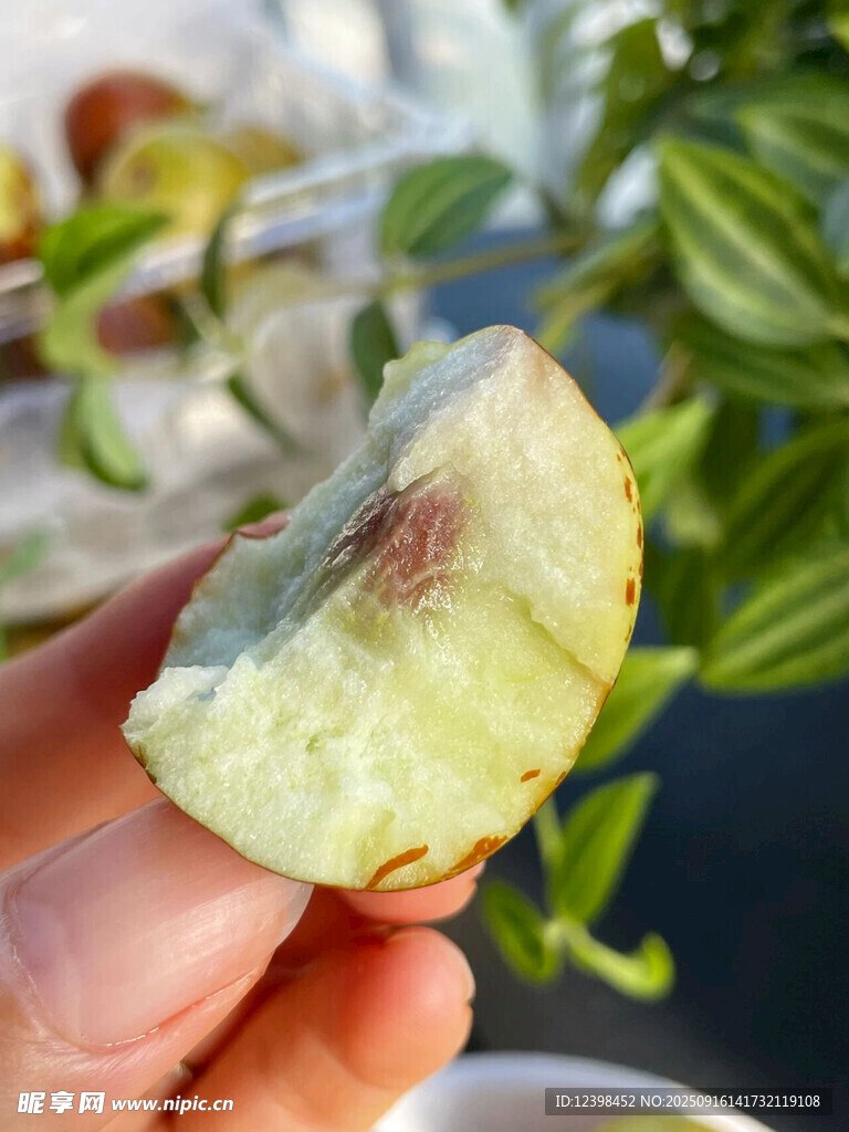 大枣