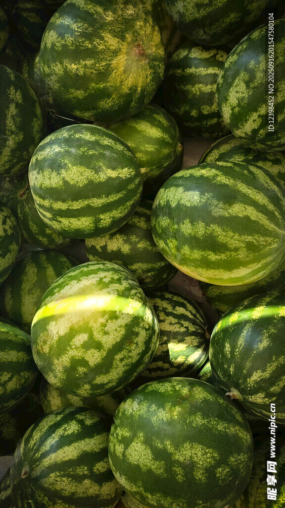 一堆新鲜西瓜