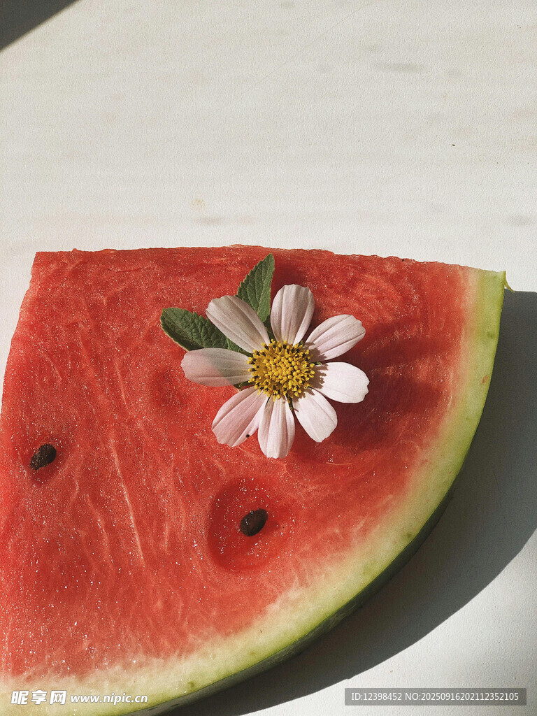 西瓜片上的清新小雏菊