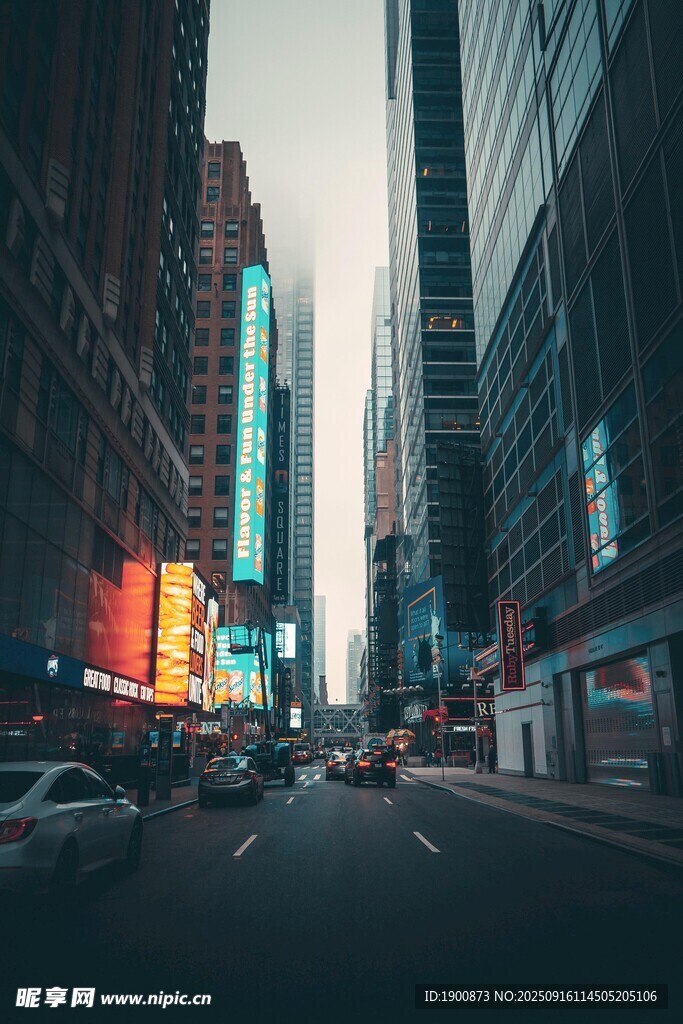城市