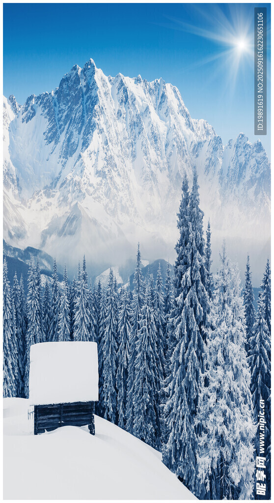 雪覆山林中的壮丽雪山