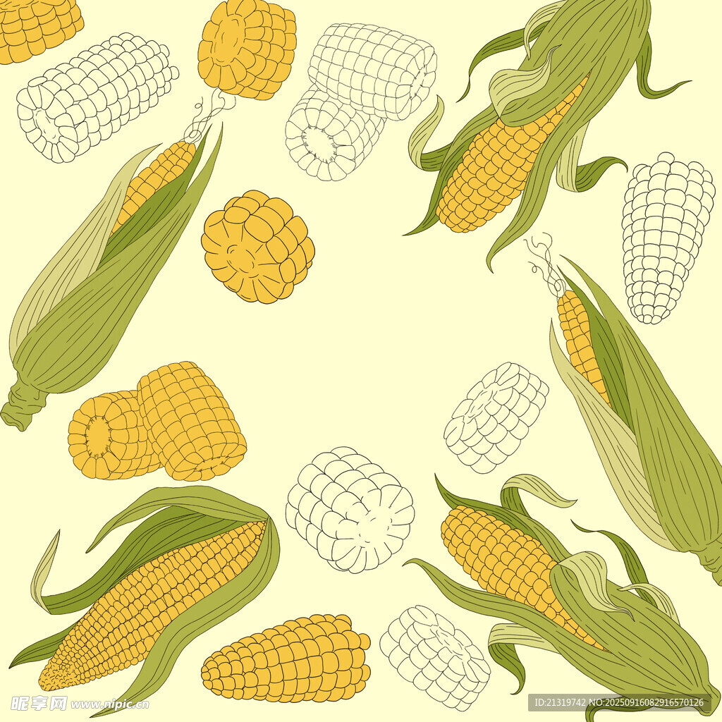 玉米插画素材