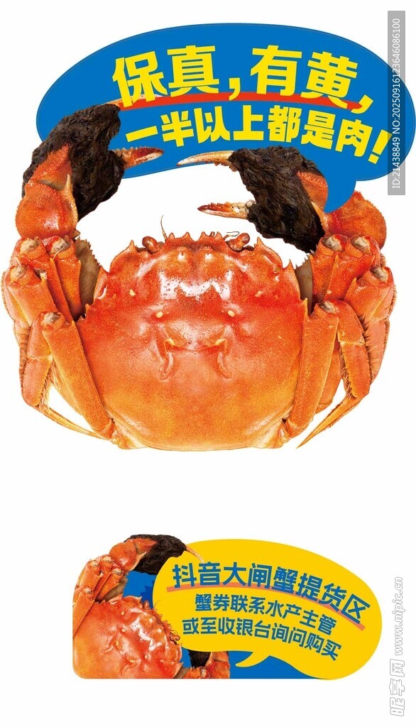 鲜活海蟹 螃蟹异形牌