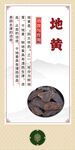 中药材 地黄展示