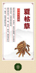 中药材 夏枯草展示