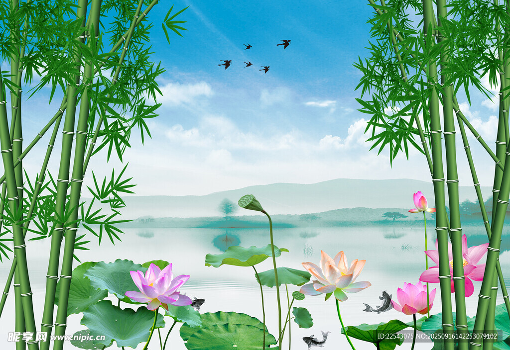 荷花竹子