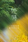 处暑