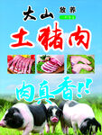 土猪肉