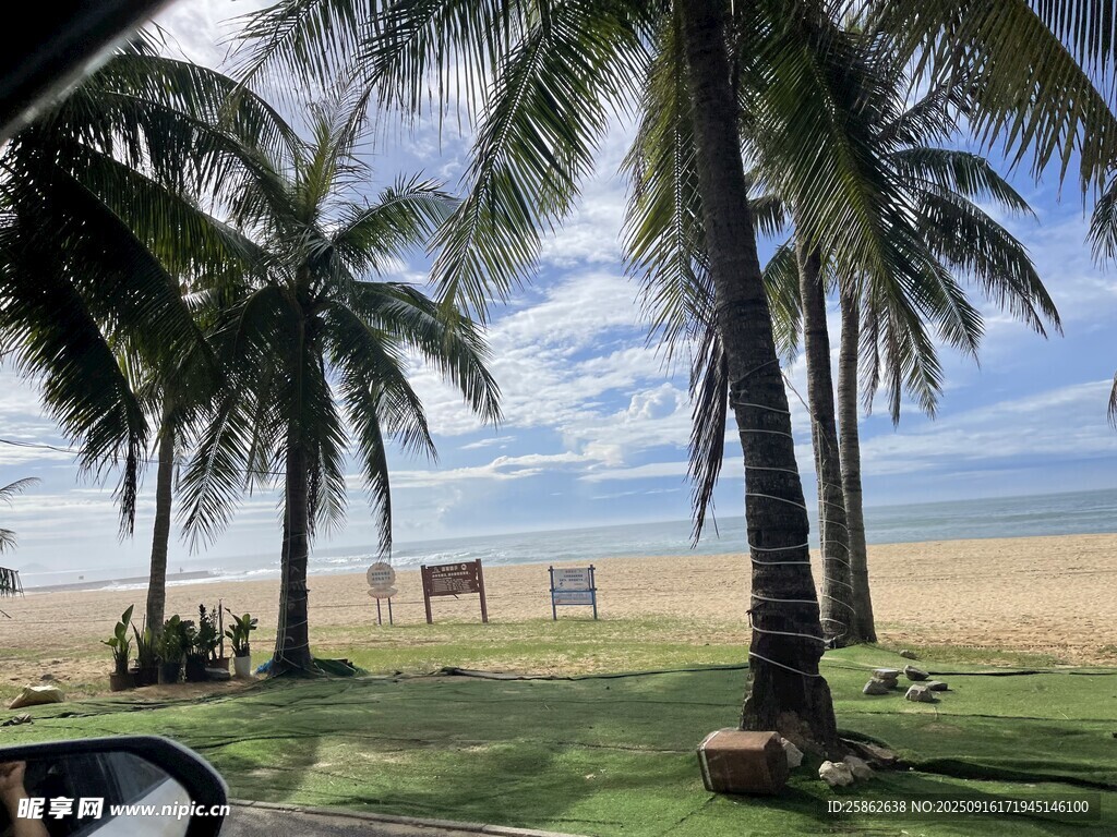 海滨椰林美景
