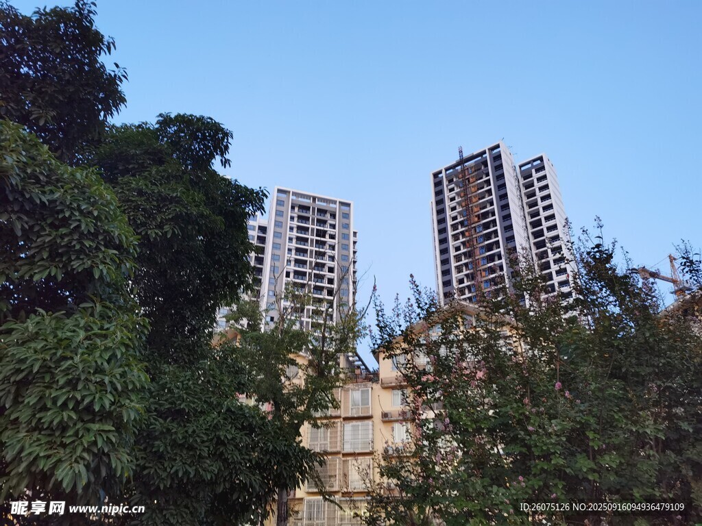 绿树间的高层住宅楼