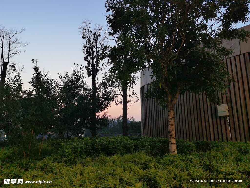 黄昏下的绿植与建筑景观