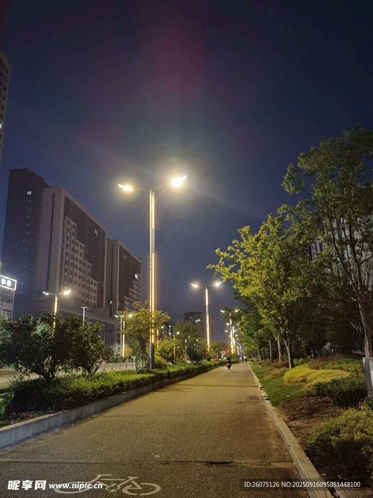 夜晚城市中的静谧骑行道