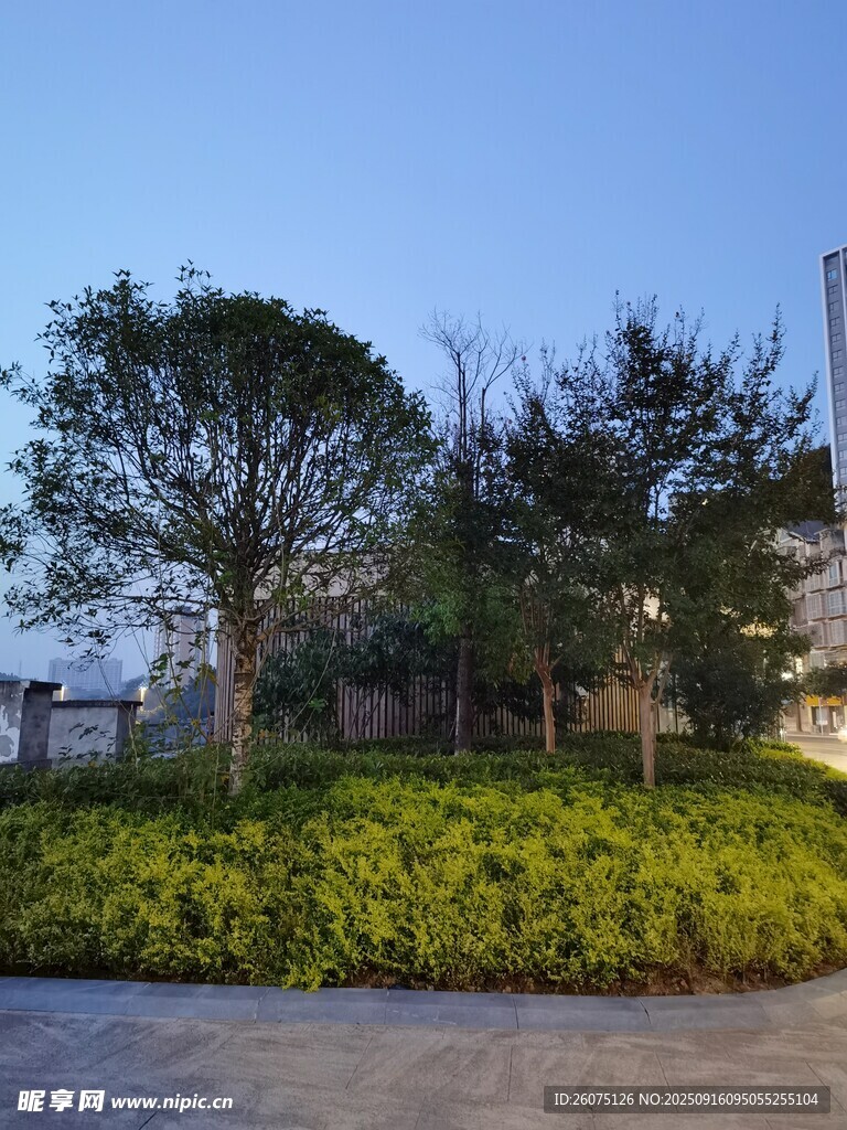 户外绿植景观