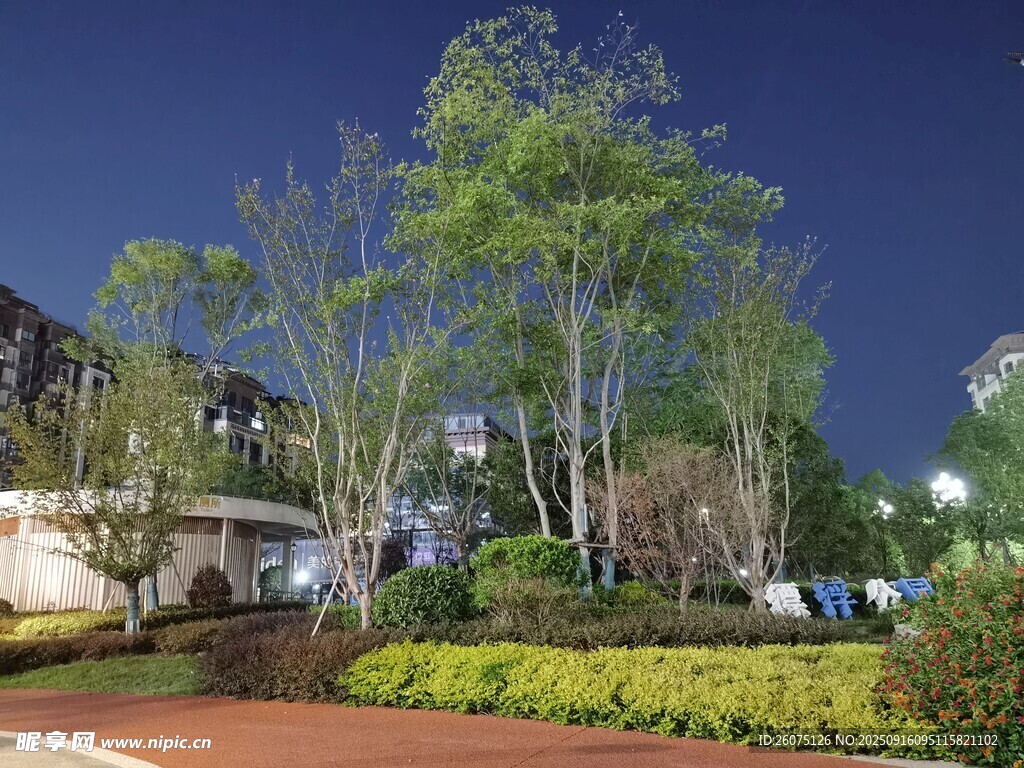 夜晚小区绿化景观