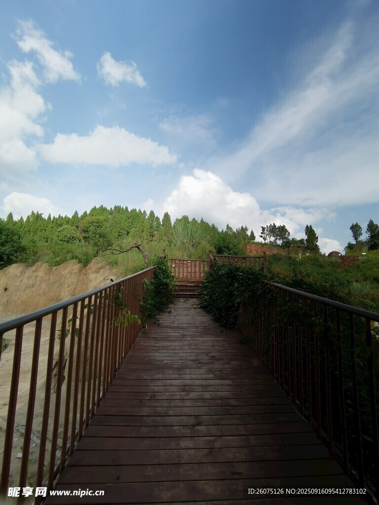 漫步木栈道赏自然风光