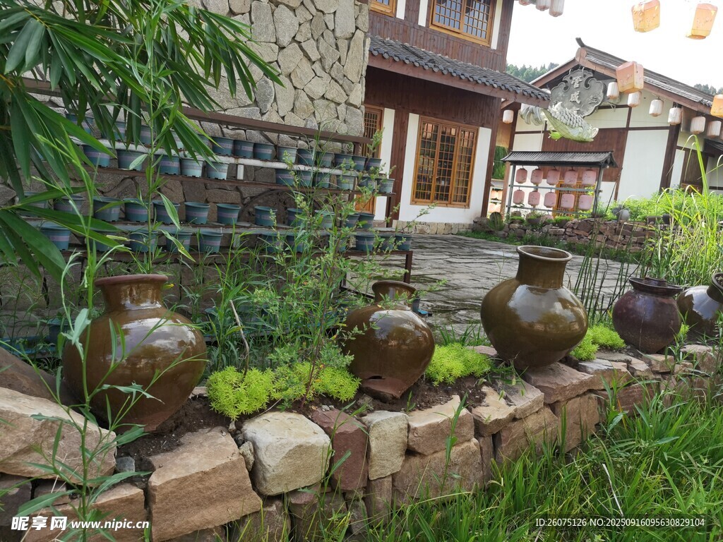 庭院陶罐绿植景致