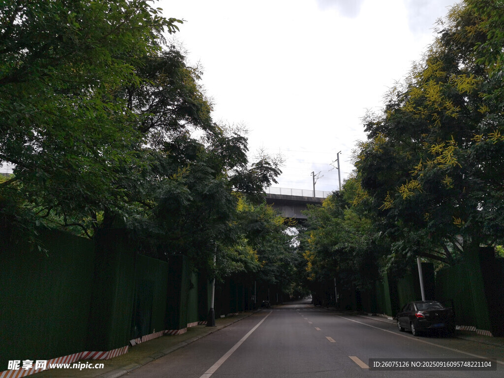 林荫遮蔽的静谧道路