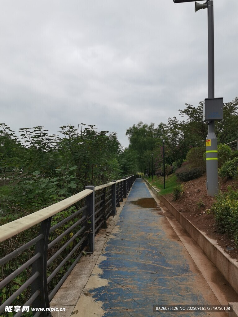 雨后山间步道景色