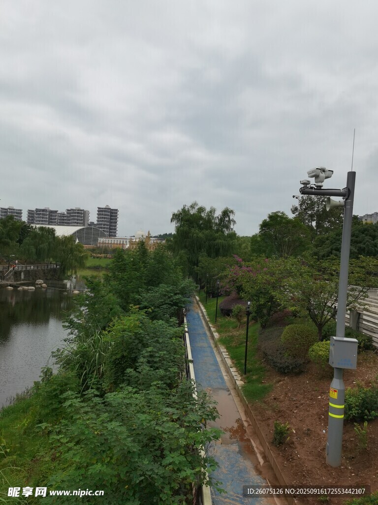 河畔绿植环绕的步道景观