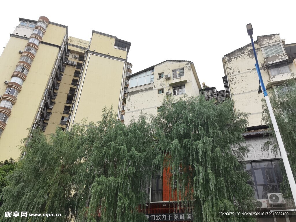 城市中的住宅楼与垂柳景观