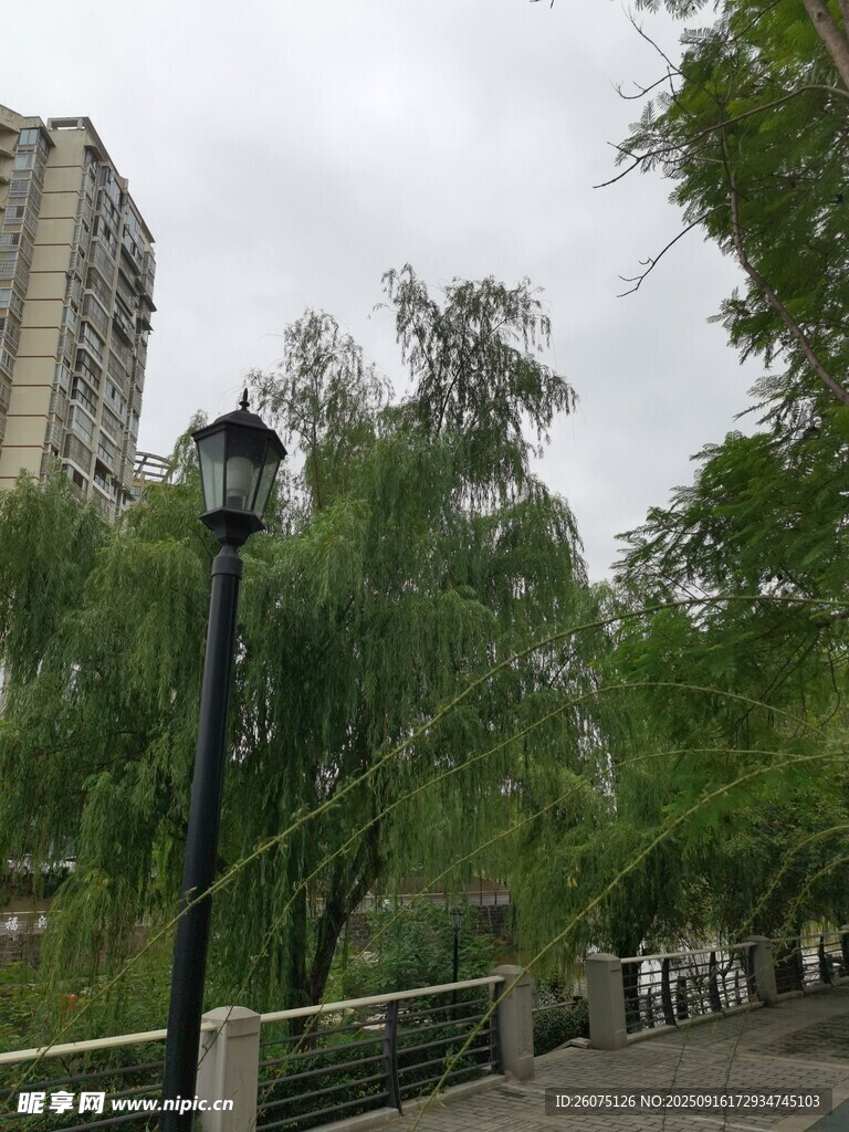 城市林荫步道景观
