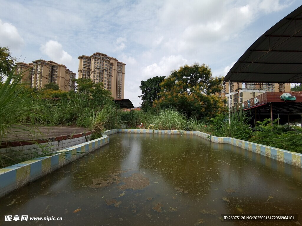 城市中静谧的水景绿地