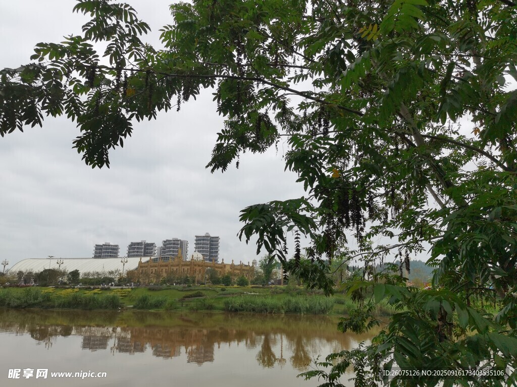 湖畔绿树映远处建筑