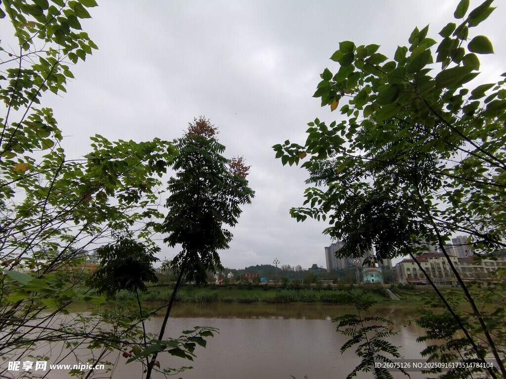 湖畔绿树成荫的自然景致