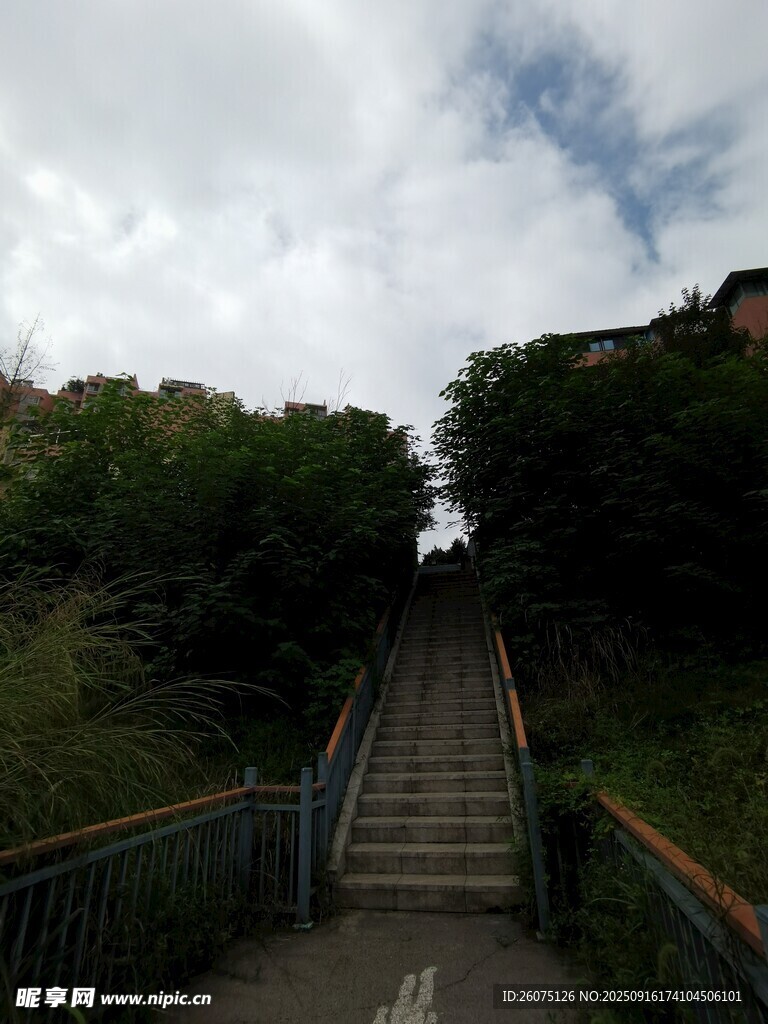 蜿蜒石阶通往葱郁景致