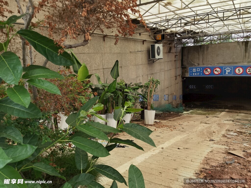 温室中的绿植与设施