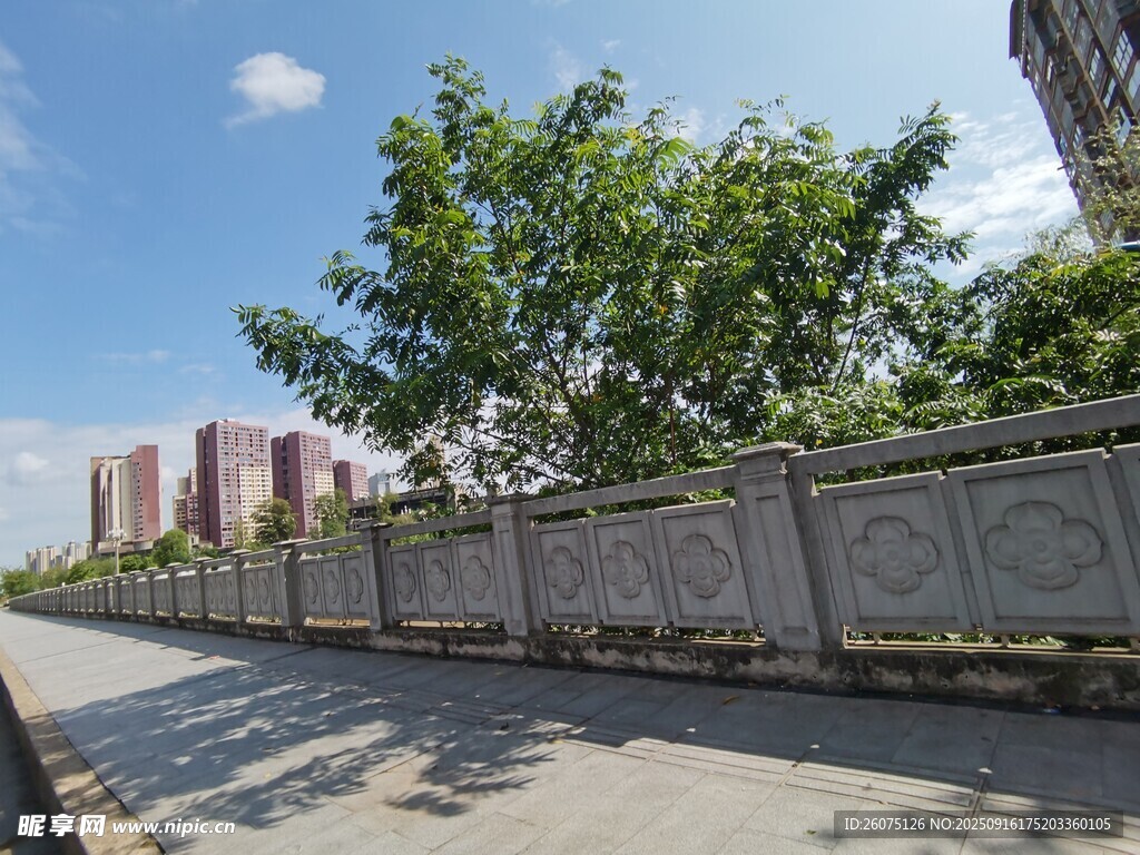 城市路边绿树与围栏景观