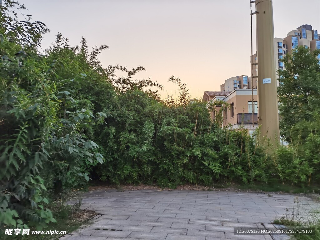 城郊绿植环绕的空旷场地