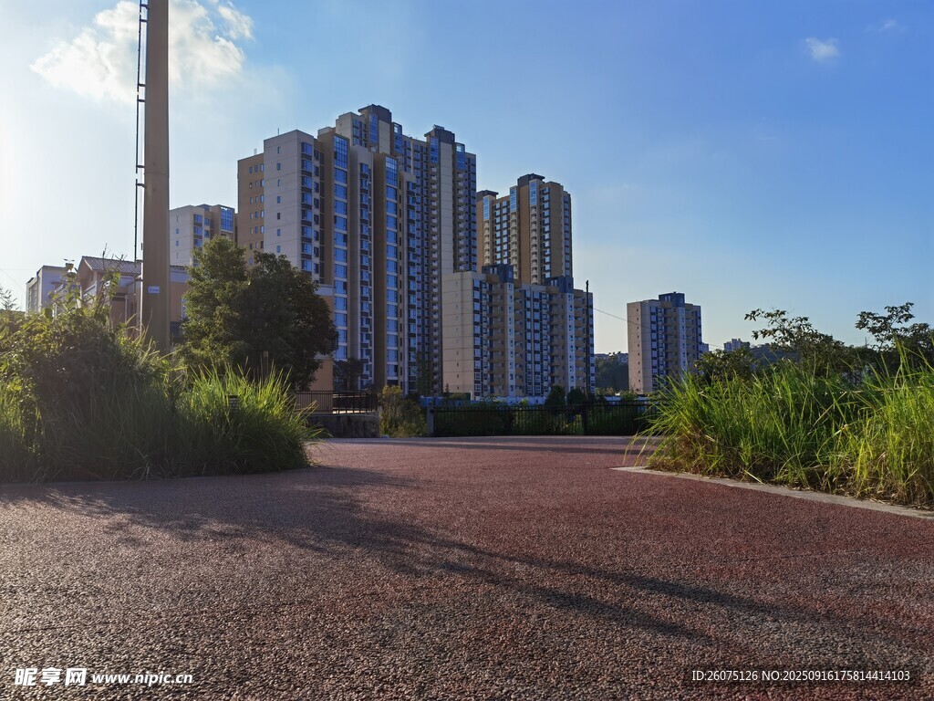 城市道路旁的高楼景观