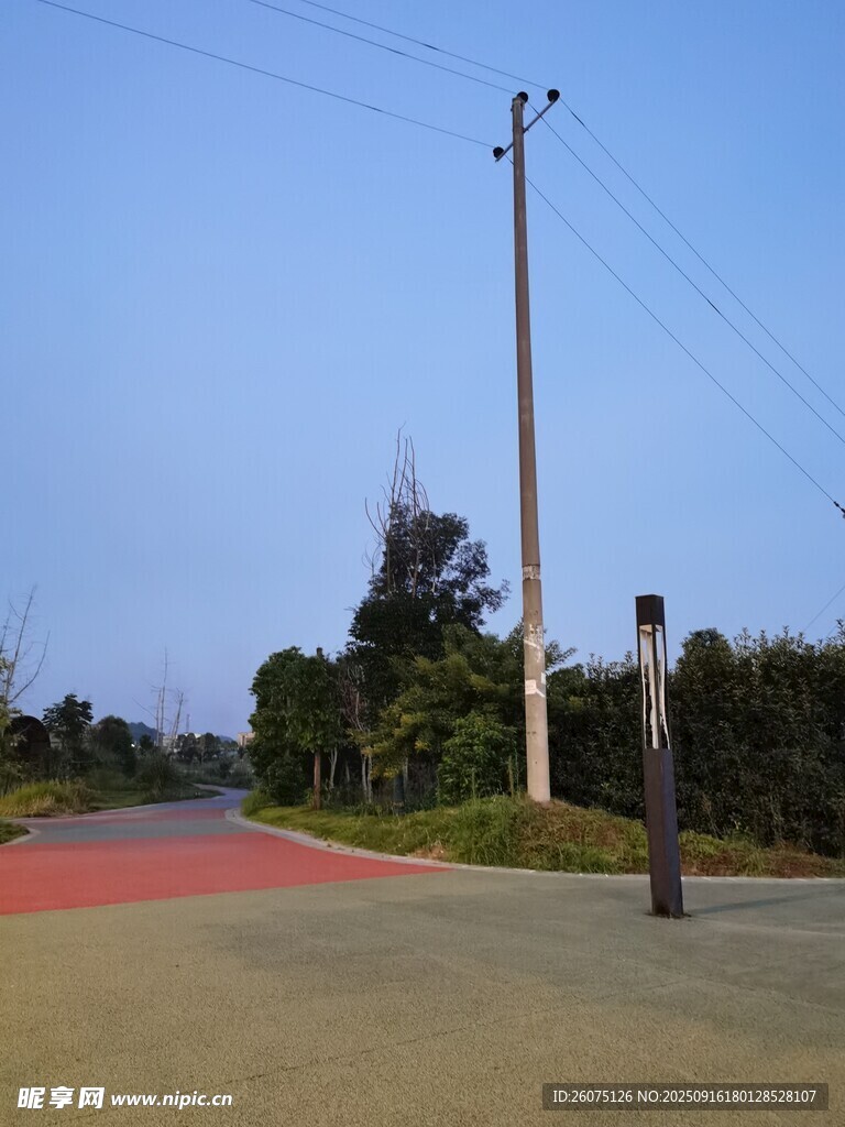 乡村道路旁的电线杆与绿植