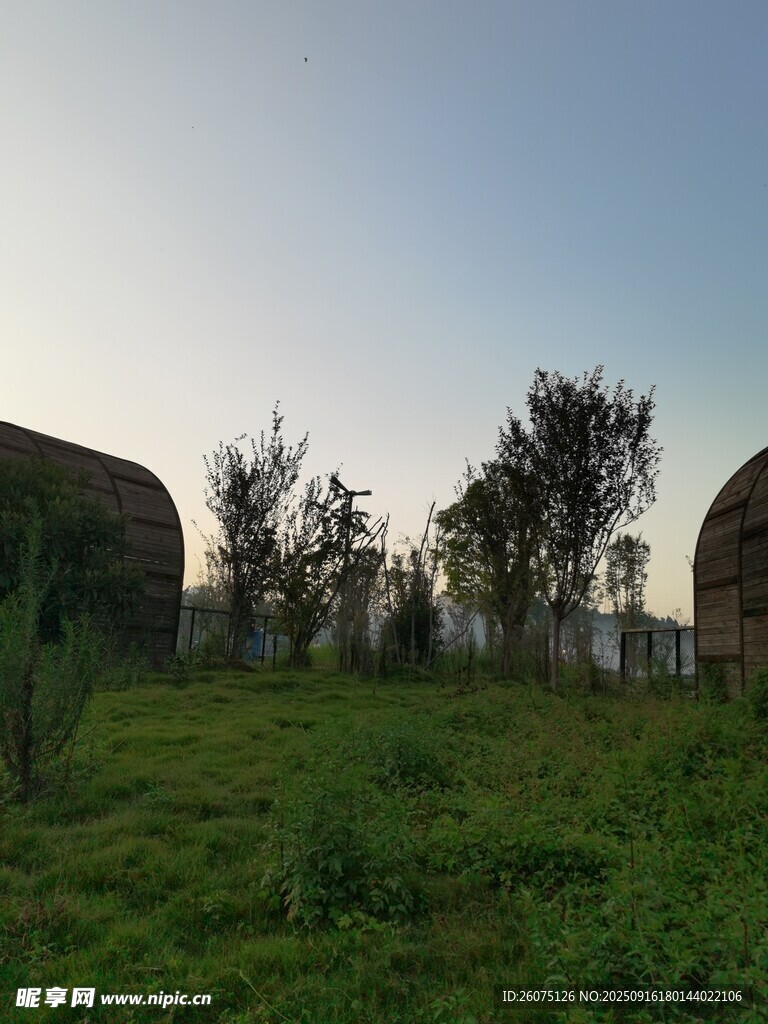 田野中的树木与圆顶建筑