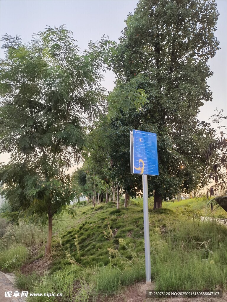 户外蓝色指示牌立于绿植间