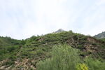 青山