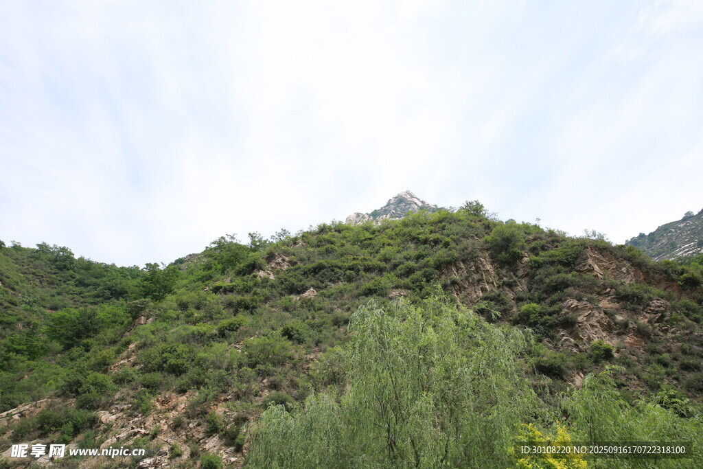 青山