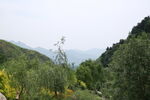 山景