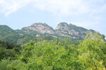 青山