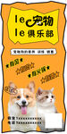 宠物