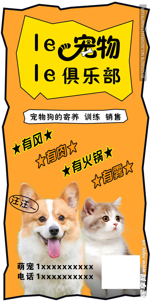 宠物