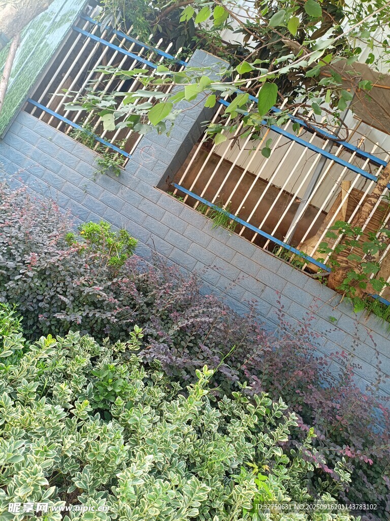 庭院绿植与木质围栏景观