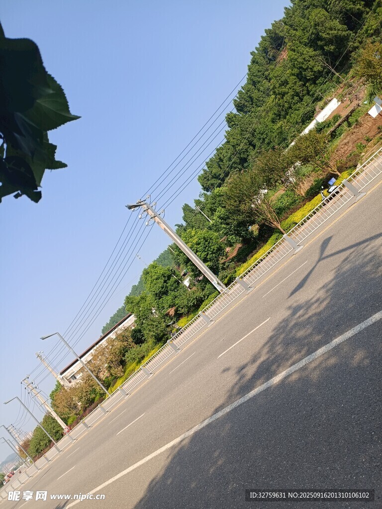 空旷道路旁的绿树蓝天