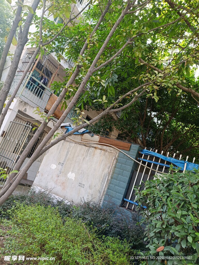 被绿植环绕的老旧建筑一角