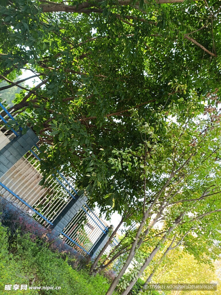 林间小屋