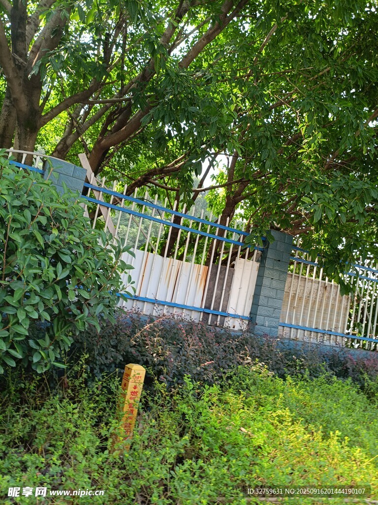 绿树环绕的围栏景致