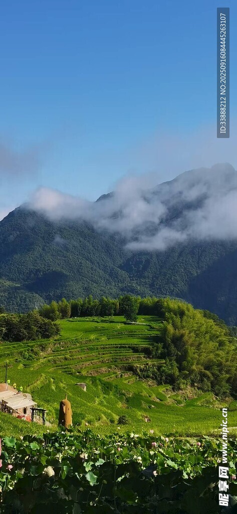 山间绿野 云雾缭绕美景