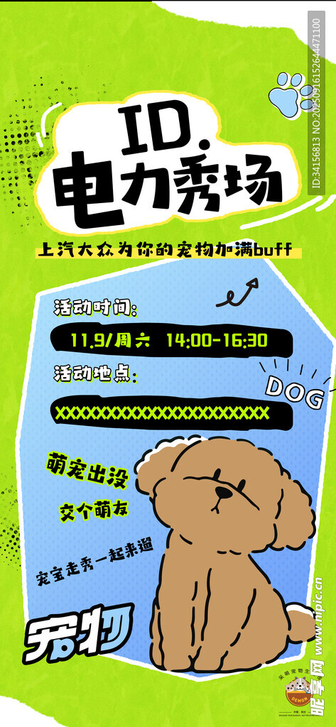 宠物海报 
